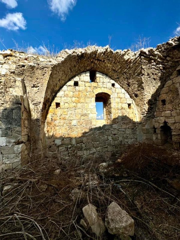 أم الشُّوفْ/ قرى الروحة | موسوعة القرى الفلسطينية