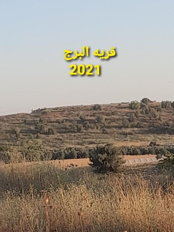 أبو الفضل/ السطري/ عرب أبو الفضل | موسوعة القرى الفلسطينية