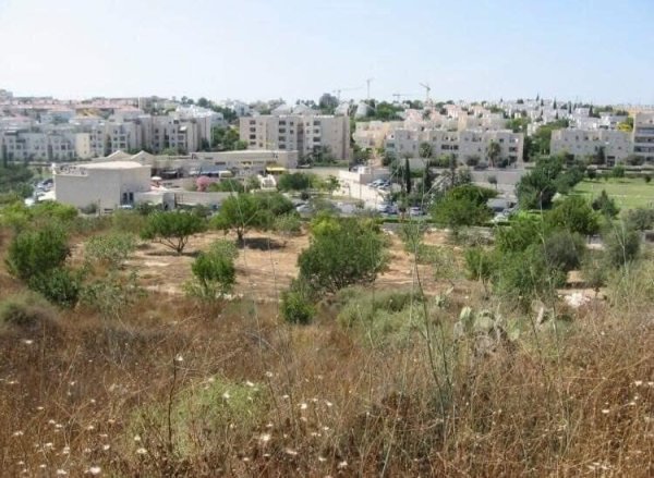 أبو الفضل/ السطري/ عرب أبو الفضل | موسوعة القرى الفلسطينية