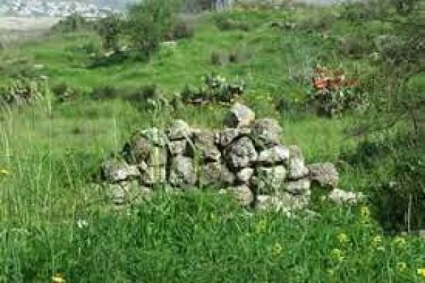 أبو الفضل/ السطري/ عرب أبو الفضل | موسوعة القرى الفلسطينية