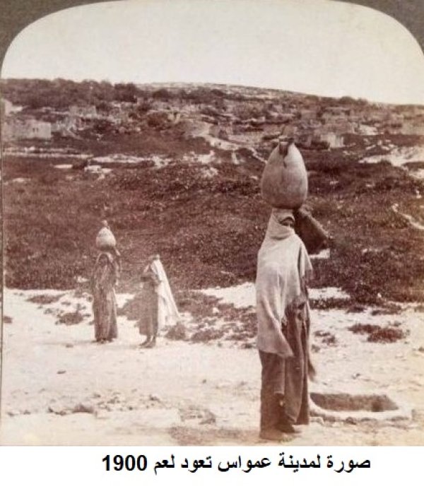 عمواس/ قرى اللطرون / بين رام الله والرملة | موسوعة القرى الفلسطينية