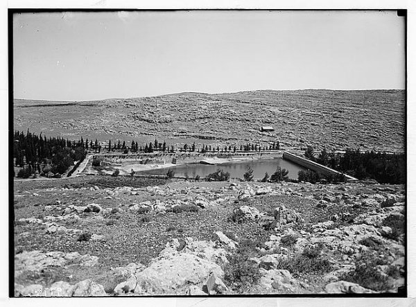 أرطاس / من قرى عرقوب | موسوعة القرى الفلسطينية