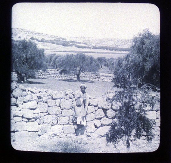 بيت سَاحُورْ | موسوعة القرى الفلسطينية