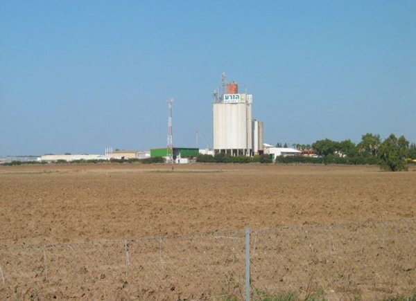 المَسْمِّية الكَبِيرَة | موسوعة القرى الفلسطينية