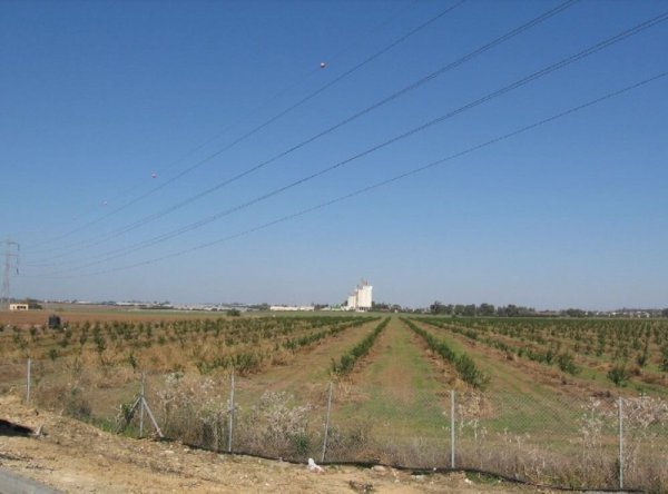 المَسْمِّية الكَبِيرَة | موسوعة القرى الفلسطينية