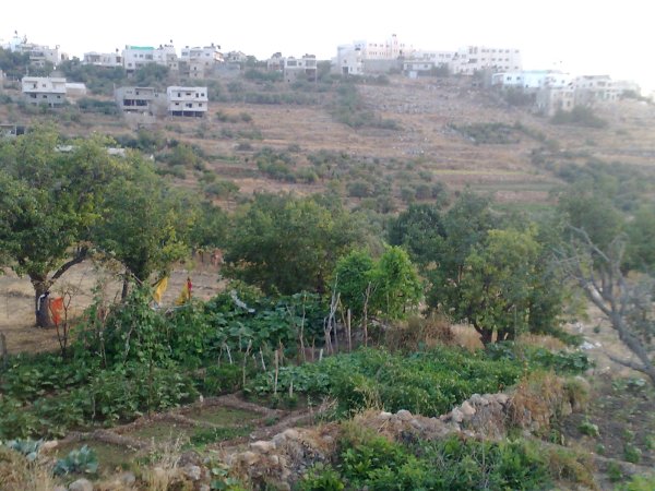 نحالين / من قرى عرقوب | موسوعة القرى الفلسطينية