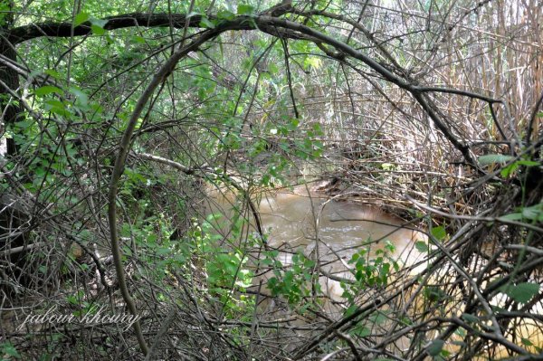 الزُوْق التَحْتَانِي | موسوعة القرى الفلسطينية