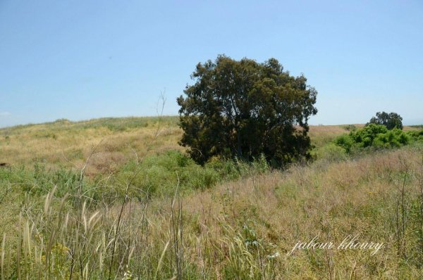 الزُوْق التَحْتَانِي | موسوعة القرى الفلسطينية