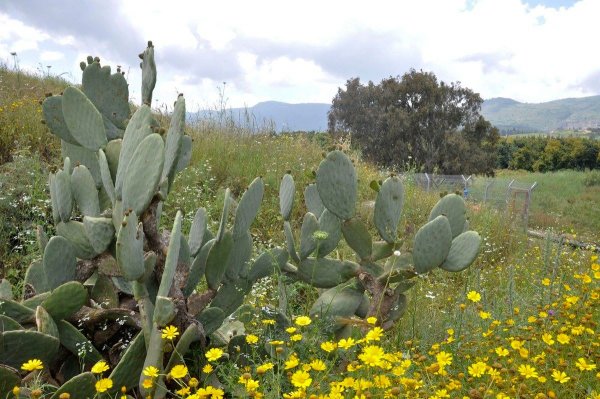 الزُوْق التَحْتَانِي | موسوعة القرى الفلسطينية