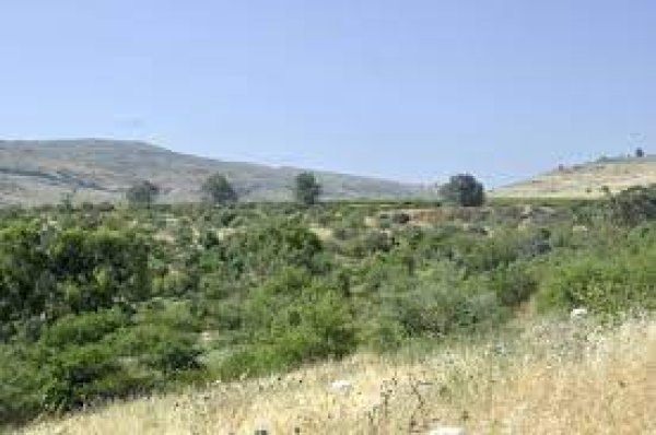 الزُوْق التَحْتَانِي | موسوعة القرى الفلسطينية