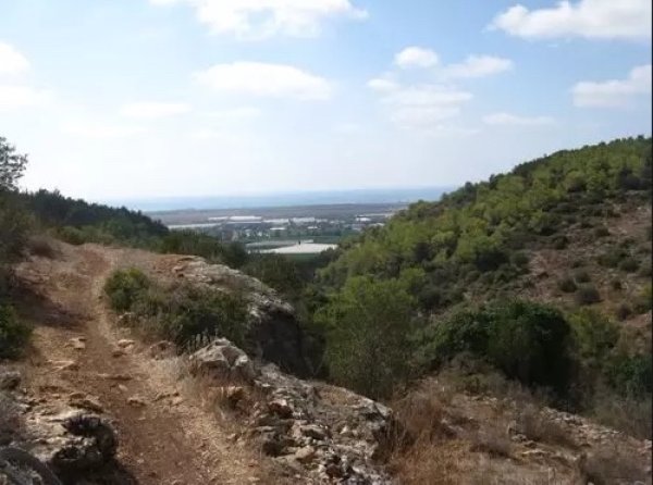 جَبَعْ/ قرى جبل الكرمل | موسوعة القرى الفلسطينية