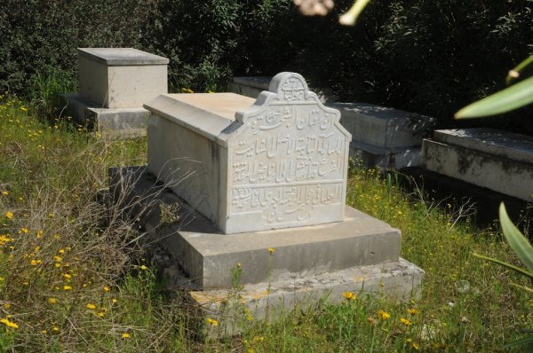 المنشية | موسوعة القرى الفلسطينية