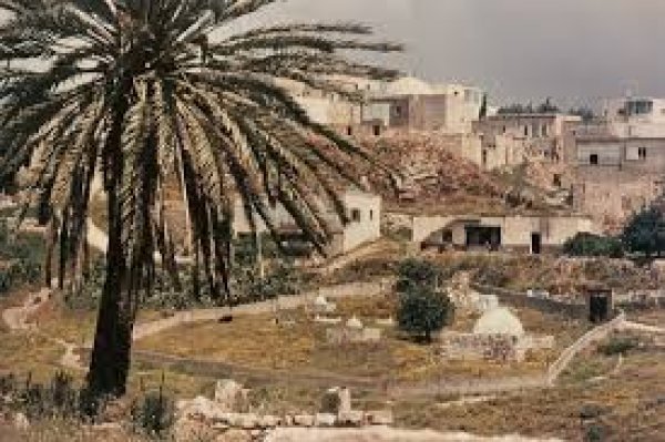 سخنين : إحدى قرى يوم الأرض الثلاثة ، وهي مدينة الآن | موسوعة القرى الفلسطينية