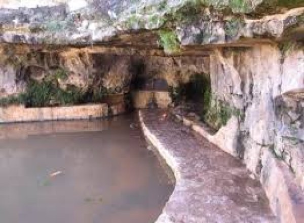 سخنين : إحدى قرى يوم الأرض الثلاثة ، وهي مدينة الآن | موسوعة القرى الفلسطينية