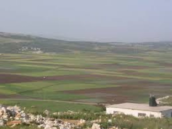 عَرَّابَة | موسوعة القرى الفلسطينية