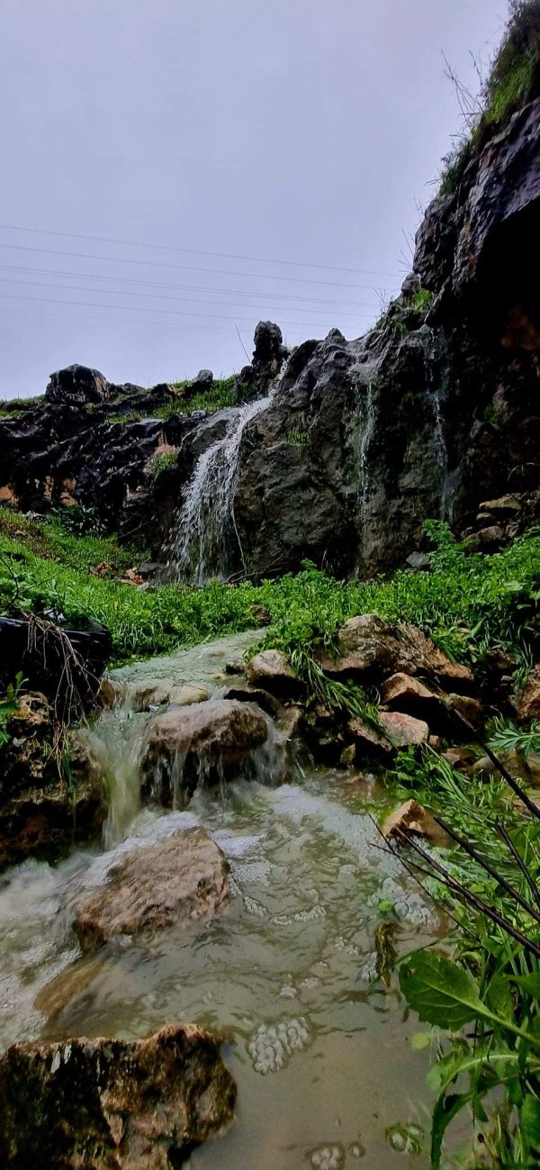 الظَاهِريَّة الفُوقَا | موسوعة القرى الفلسطينية