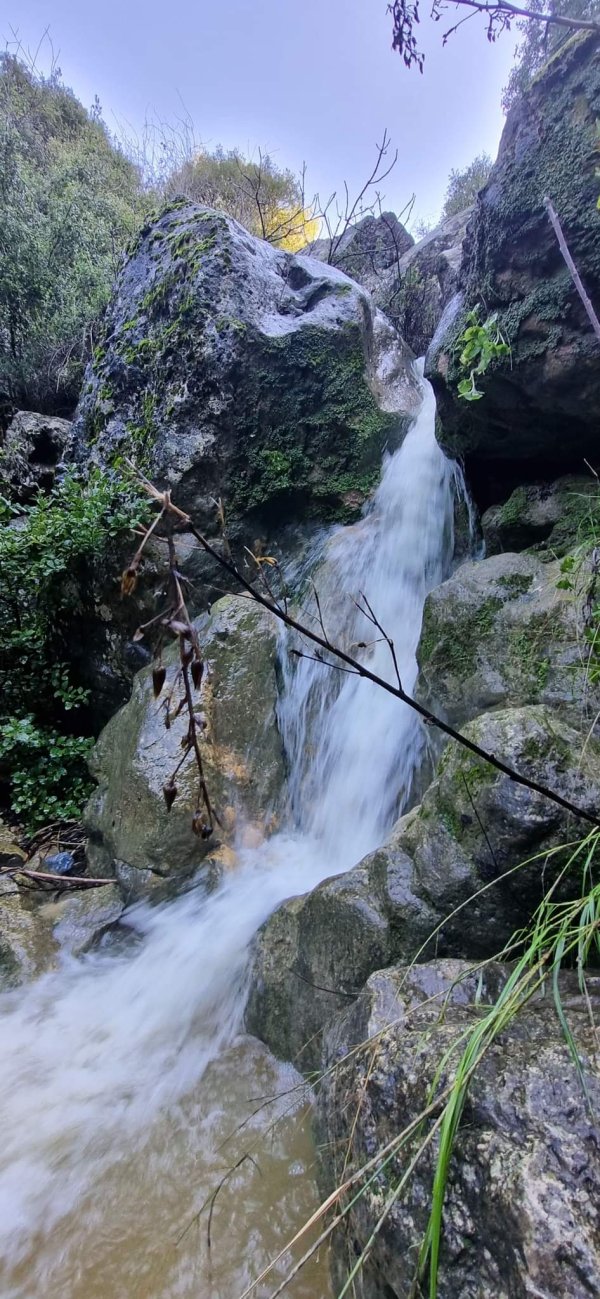 الظَاهِريَّة الفُوقَا | موسوعة القرى الفلسطينية