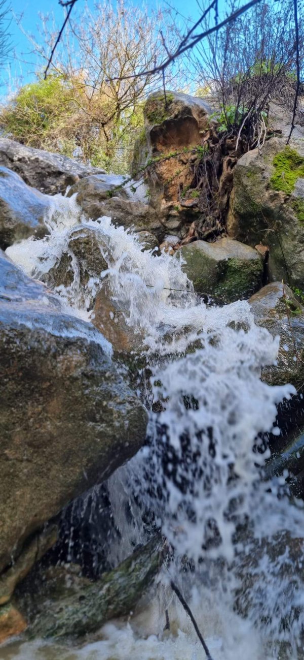 الظَاهِريَّة الفُوقَا | موسوعة القرى الفلسطينية