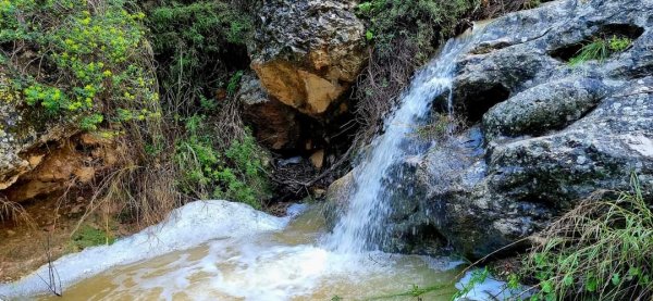الظَاهِريَّة الفُوقَا | موسوعة القرى الفلسطينية