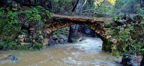 الظَاهِريَّة الفُوقَا | موسوعة القرى الفلسطينية