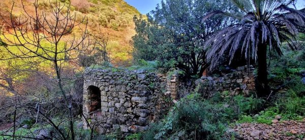 الظَاهِريَّة الفُوقَا | موسوعة القرى الفلسطينية