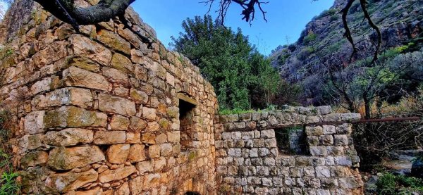 الظَاهِريَّة الفُوقَا | موسوعة القرى الفلسطينية