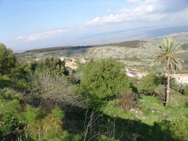 مُغُرْ الخَيّطْ/مَغَار الخَيّطْ | موسوعة القرى الفلسطينية