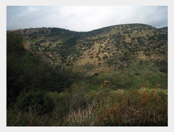 مُغُرْ الخَيّطْ/مَغَار الخَيّطْ | موسوعة القرى الفلسطينية