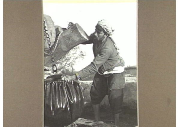 القُسْطِيْنة/ قُسْطِيْنِة | موسوعة القرى الفلسطينية