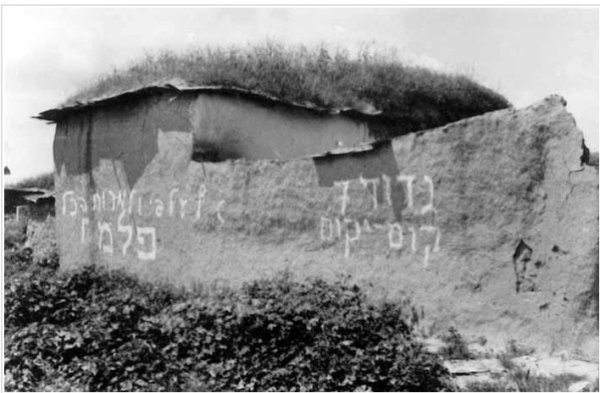 القُسْطِيْنة/ قُسْطِيْنِة | موسوعة القرى الفلسطينية