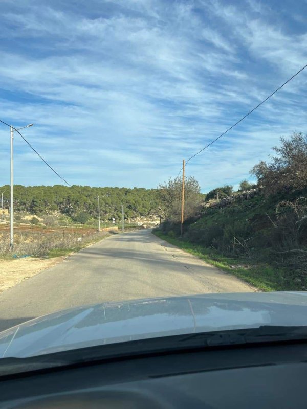 أمُّ التُوْت | موسوعة القرى الفلسطينية