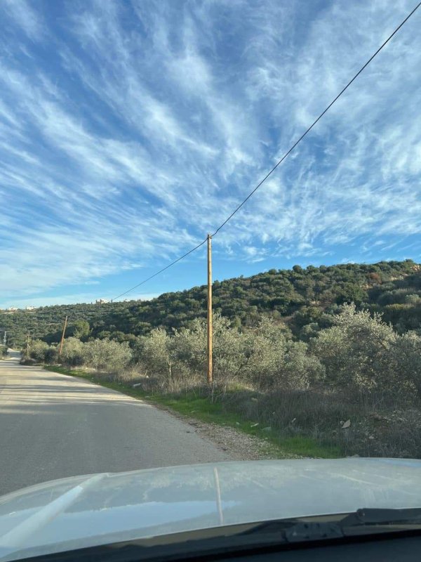 أمُّ التُوْت | موسوعة القرى الفلسطينية