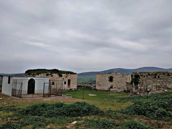 الكُفَيْر | موسوعة القرى الفلسطينية