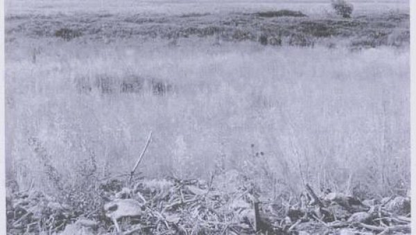 جَبَعْ/ قرى جبل الكرمل | موسوعة القرى الفلسطينية