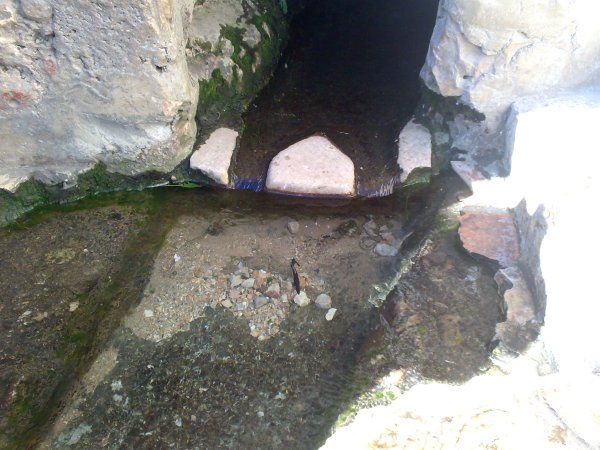 أرطاس / من قرى عرقوب | موسوعة القرى الفلسطينية