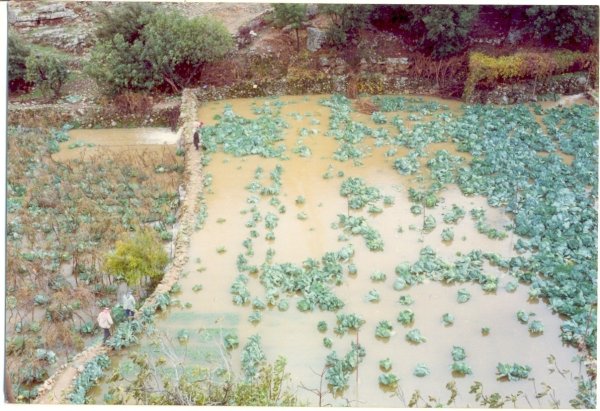 أرطاس / من قرى عرقوب | موسوعة القرى الفلسطينية