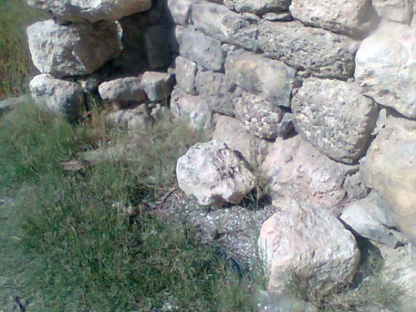 أرطاس / من قرى عرقوب | موسوعة القرى الفلسطينية