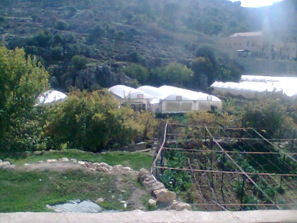 أرطاس / من قرى عرقوب | موسوعة القرى الفلسطينية