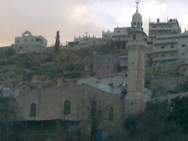 أرطاس / من قرى عرقوب | موسوعة القرى الفلسطينية