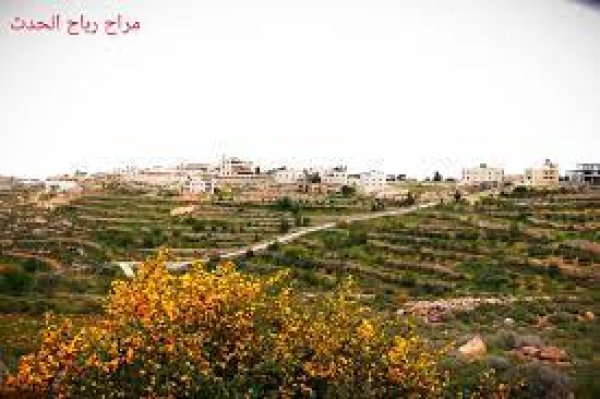 مراح رباح | موسوعة القرى الفلسطينية