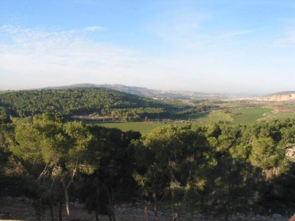 لُوبِيَا/ لُوبِيَة | موسوعة القرى الفلسطينية