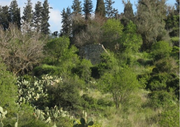 جَبَعْ/ قرى جبل الكرمل | موسوعة القرى الفلسطينية