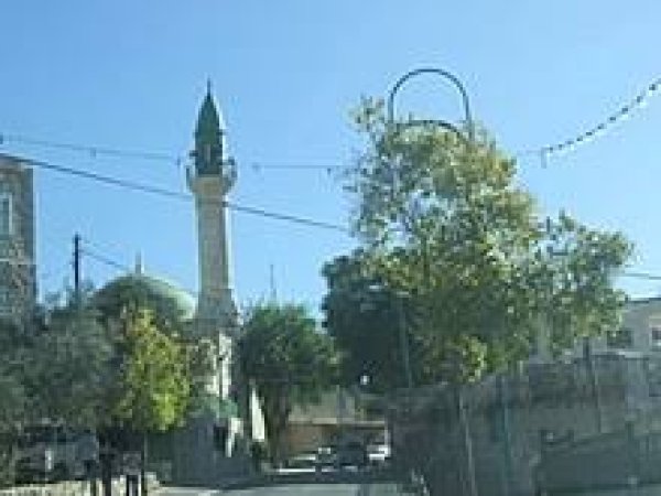 ترشيحا | موسوعة القرى الفلسطينية