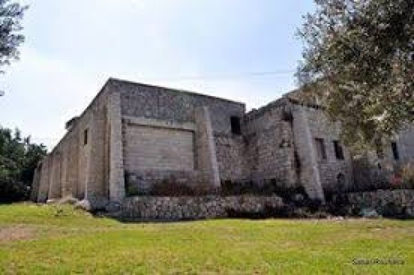 ترشيحا | موسوعة القرى الفلسطينية