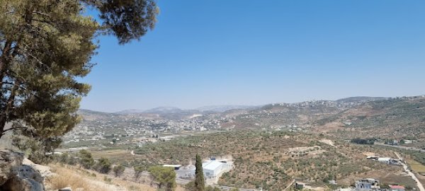 عَنَبْتَا | موسوعة القرى الفلسطينية