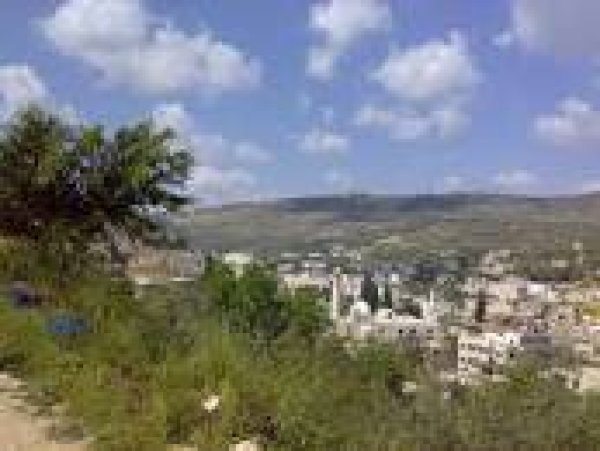 عَنَبْتَا | موسوعة القرى الفلسطينية