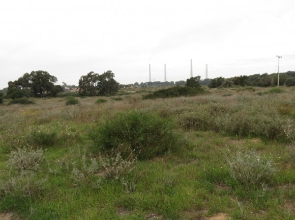 عرب الضمايرة | موسوعة القرى الفلسطينية