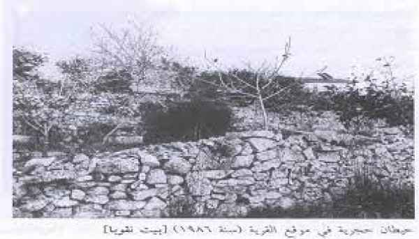 بيت نقوبا / نقوبة /عين نقوبا | موسوعة القرى الفلسطينية