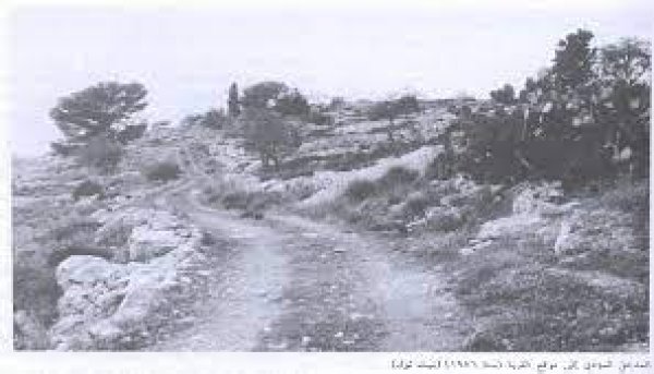 بيت نقوبا / نقوبة /عين نقوبا | موسوعة القرى الفلسطينية