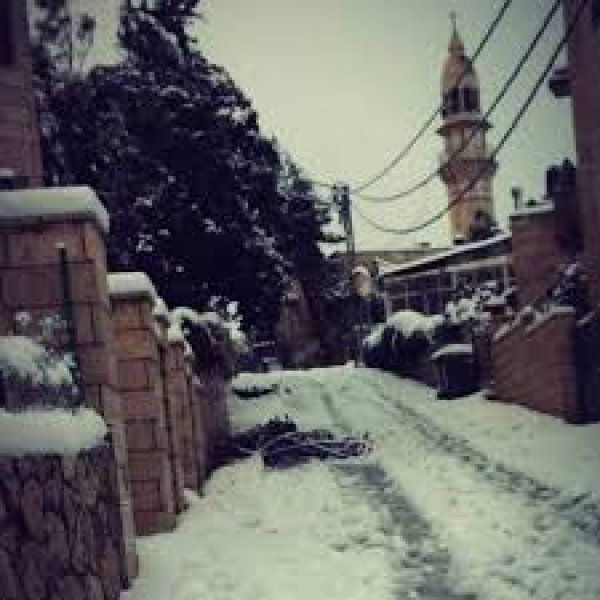 بيت نقوبا / نقوبة /عين نقوبا | موسوعة القرى الفلسطينية